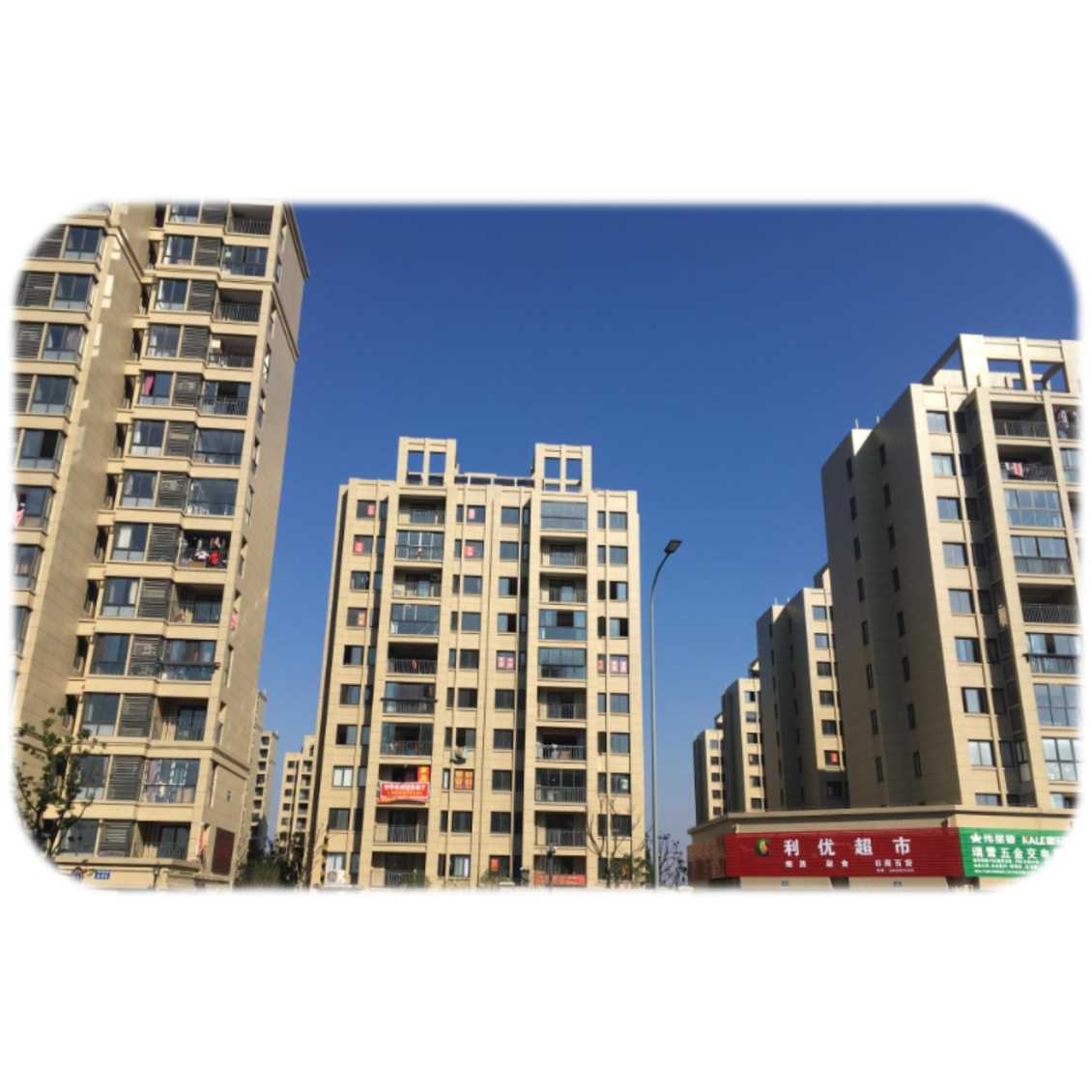 上饶三清玫瑰园